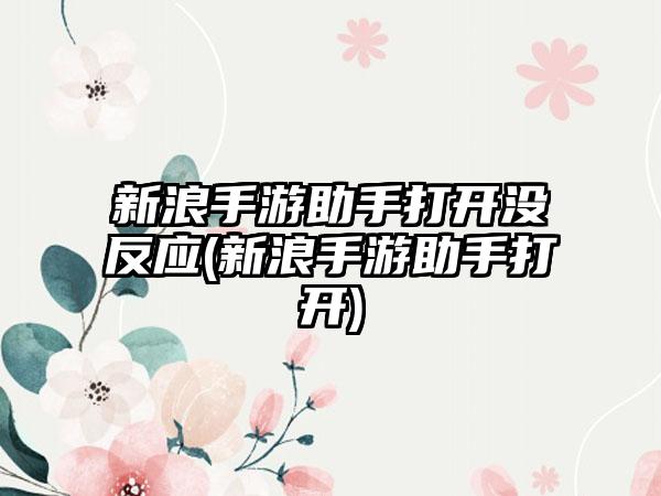 新浪手游助手打开没反应(新浪手游助手打开)