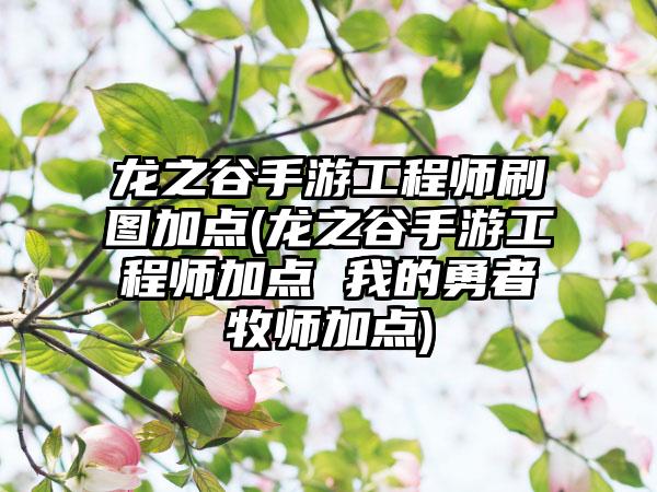 龙之谷手游工程师刷图加点(龙之谷手游工程师加点 我的勇者牧师加点)