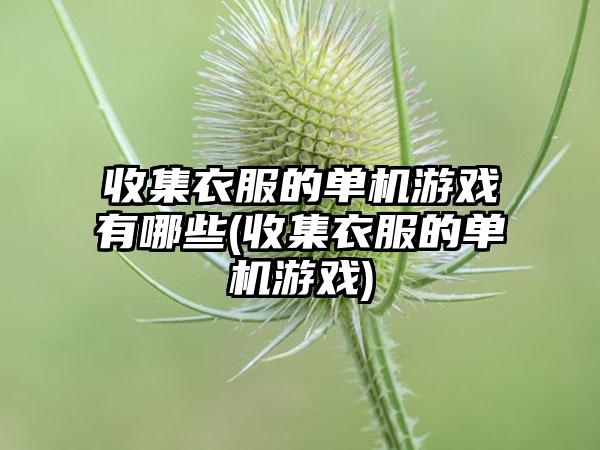 收集衣服的单机游戏有哪些(收集衣服的单机游戏)