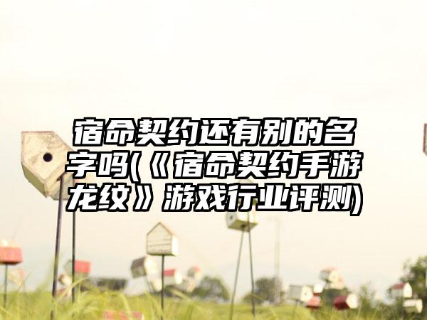 宿命契约还有别的名字吗(《宿命契约手游龙纹》游戏行业评测)