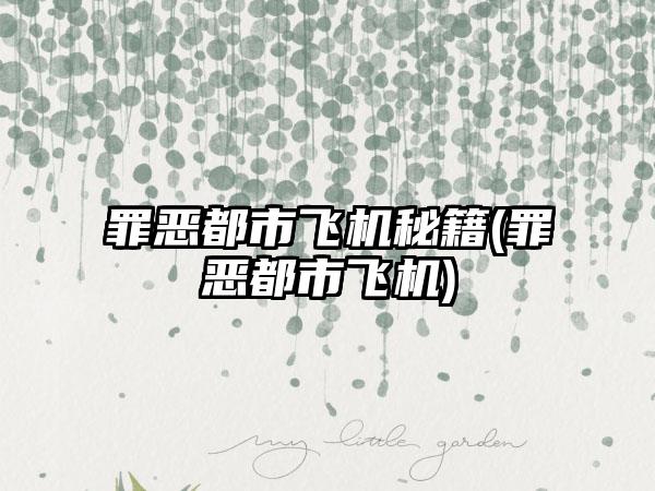 罪恶都市飞机秘籍(罪恶都市飞机)