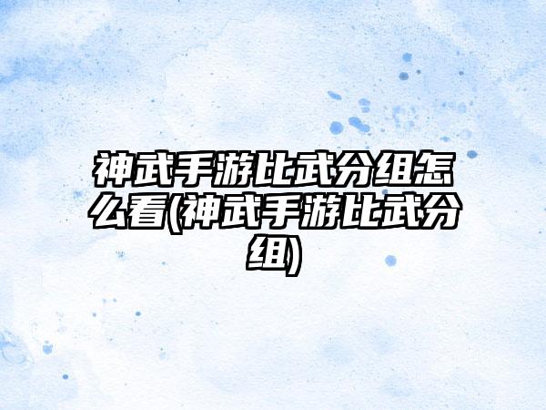神武手游比武分组怎么看(神武手游比武分组)