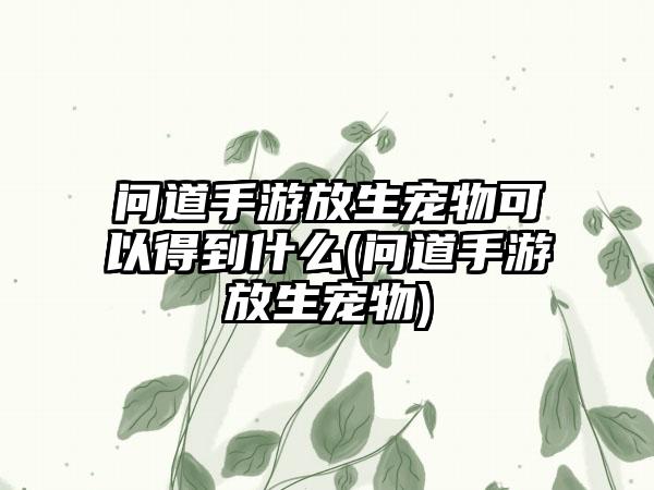 问道手游放生宠物可以得到什么(问道手游放生宠物)