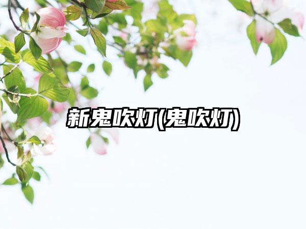 新鬼吹灯(鬼吹灯)
