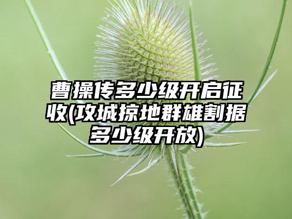 曹操传多少级开启征收(攻城掠地群雄割据多少级开放)