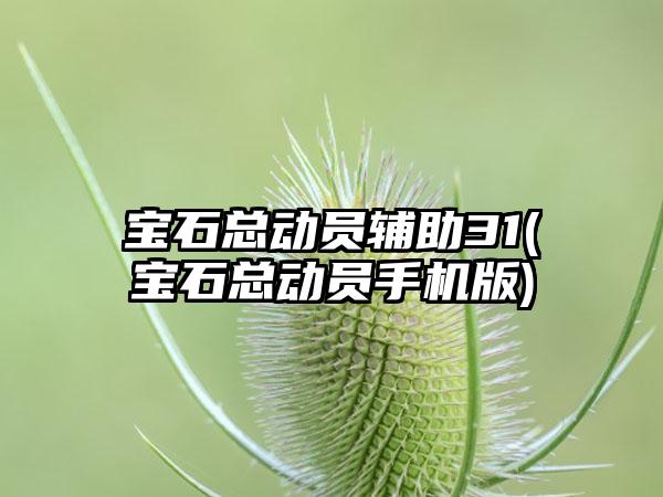 宝石总动员辅助31(宝石总动员手机版)