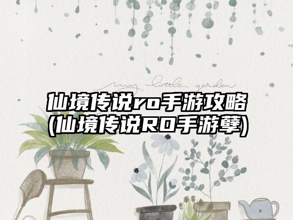 仙境传说ro手游攻略(仙境传说RO手游孽)