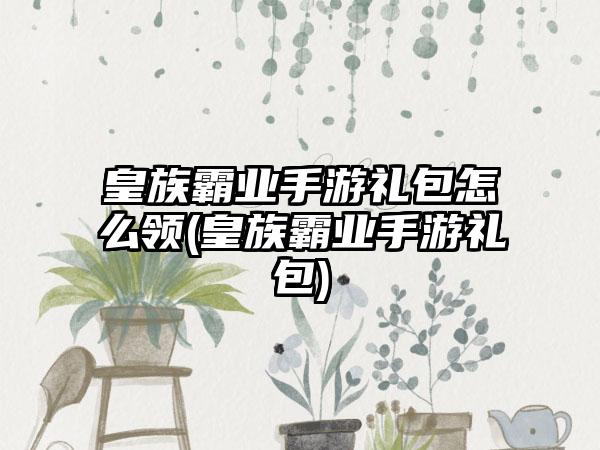 皇族霸业手游礼包怎么领(皇族霸业手游礼包)