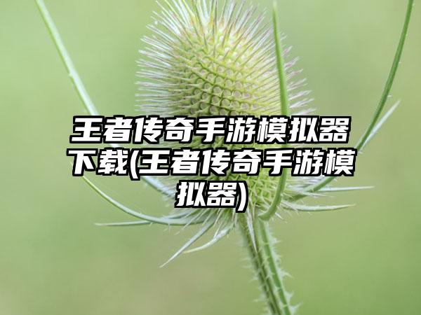 王者传奇手游模拟器下载(王者传奇手游模拟器)