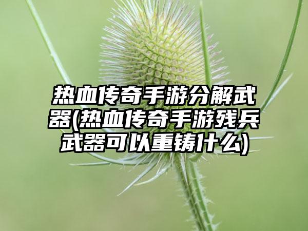 热血传奇手游分解武器(热血传奇手游残兵武器可以重铸什么)