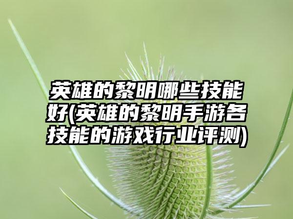 英雄的黎明哪些技能好(英雄的黎明手游各技能的游戏行业评测)
