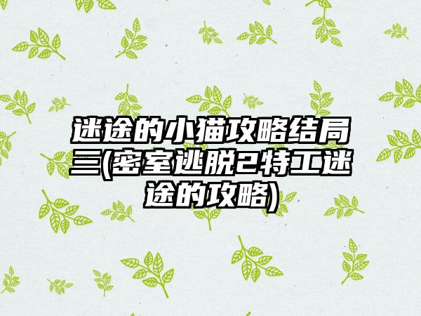 迷途的小猫攻略结局三(密室逃脱2特工迷途的攻略)