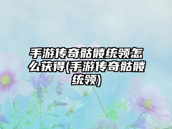 手游传奇骷髅统领怎么获得(手游传奇骷髅统领)