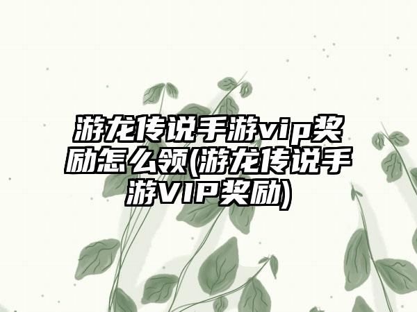 游龙传说手游vip奖励怎么领(游龙传说手游VIP奖励)