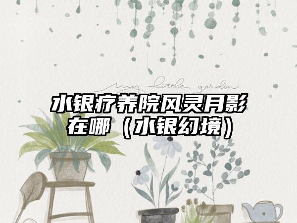 水银疗养院风灵月影在哪（水银幻境）