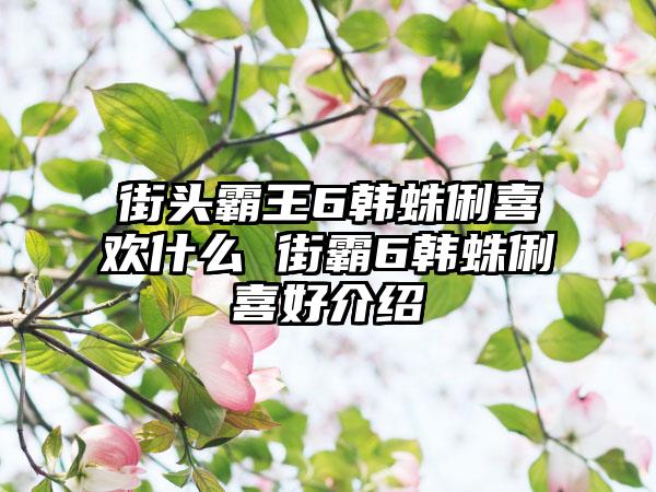 街头霸王6韩蛛俐喜欢什么 街霸6韩蛛俐喜好介绍