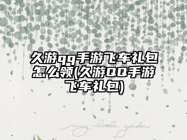 久游qq手游飞车礼包怎么领(久游QQ手游飞车礼包)