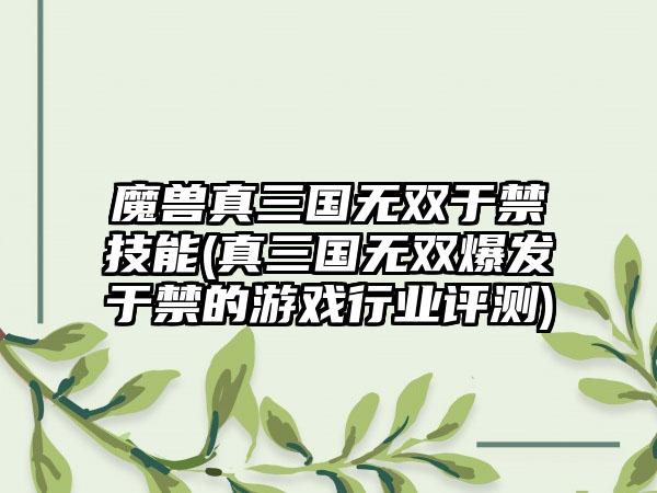 魔兽真三国无双于禁技能(真三国无双爆发于禁的游戏行业评测)