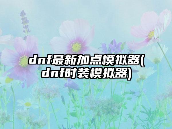 dnf最新加点模拟器(dnf时装模拟器)