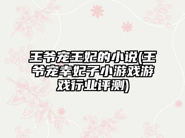 王爷宠王妃的小说(王爷宠幸妃子小游戏游戏行业评测)