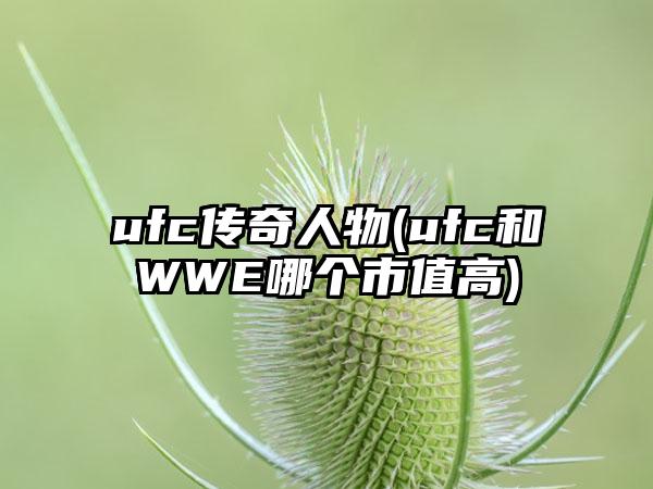 ufc传奇人物(ufc和WWE哪个市值高)