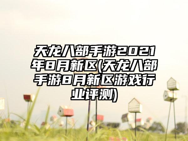天龙八部手游2021年8月新区(天龙八部手游8月新区游戏行业评测)