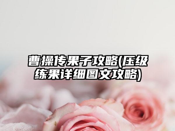 曹操传果子攻略(压级练果详细图文攻略)