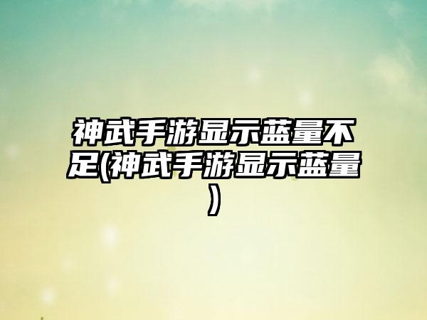 神武手游显示蓝量不足(神武手游显示蓝量)