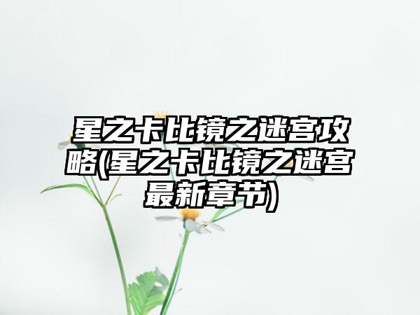 星之卡比镜之迷宫攻略(星之卡比镜之迷宫最新章节)