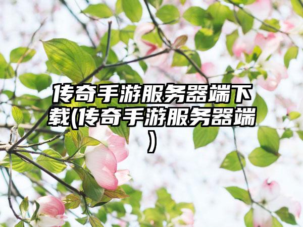 传奇手游服务器端下载(传奇手游服务器端)