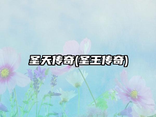 圣天传奇(圣王传奇)