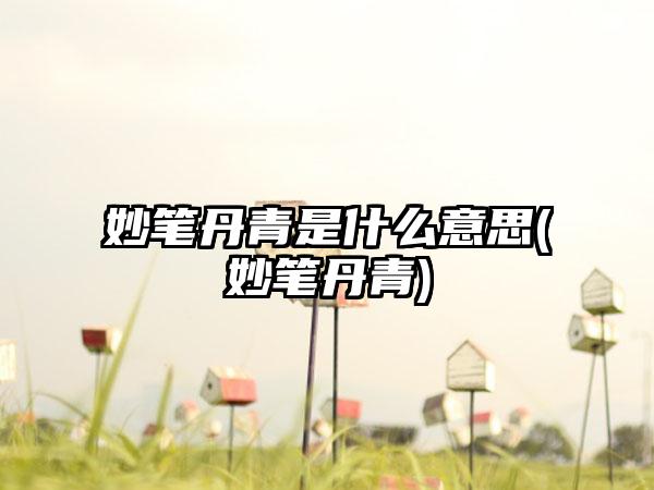 妙笔丹青是什么意思(妙笔丹青)