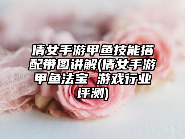 倩女手游甲鱼技能搭配带图讲解(倩女手游甲鱼法宝 游戏行业评测)