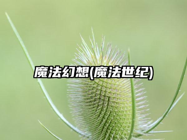 魔法幻想(魔法世纪)