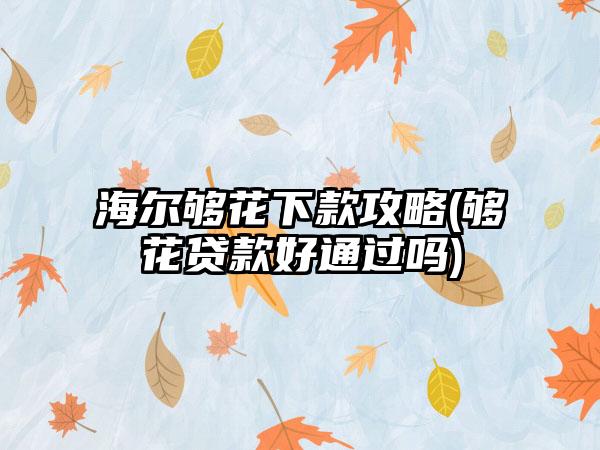 海尔够花下款攻略(够花贷款好通过吗)