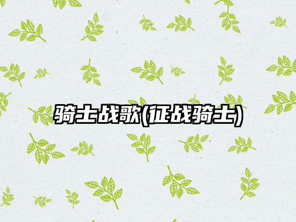 骑士战歌(征战骑士)