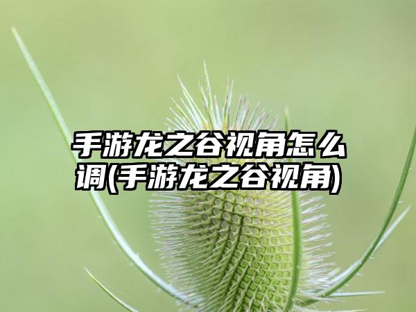 手游龙之谷视角怎么调(手游龙之谷视角)
