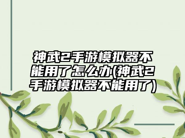 神武2手游模拟器不能用了怎么办(神武2手游模拟器不能用了)