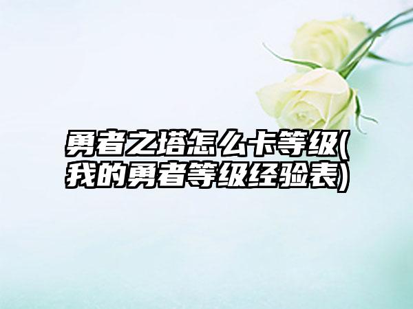 勇者之塔怎么卡等级(我的勇者等级经验表)