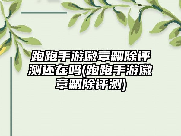 跑跑手游徽章删除评测还在吗(跑跑手游徽章删除评测)