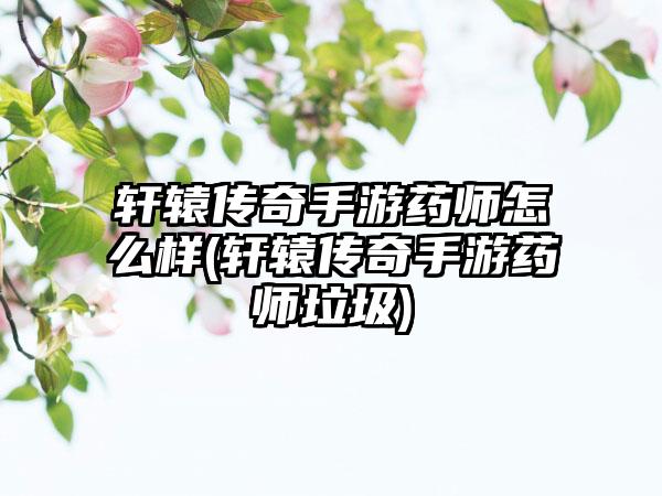 轩辕传奇手游药师怎么样(轩辕传奇手游药师垃圾)