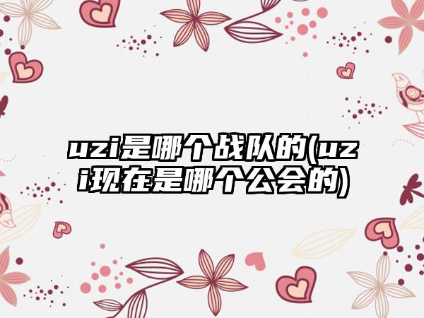 uzi是哪个战队的(uzi现在是哪个公会的)