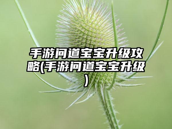 手游问道宝宝升级攻略(手游问道宝宝升级)
