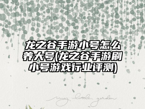 龙之谷手游小号怎么养大号(龙之谷手游刷小号游戏行业评测)