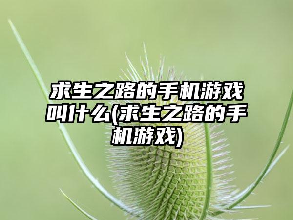 求生之路的手机游戏叫什么(求生之路的手机游戏)