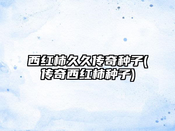 西红柿久久传奇种子(传奇西红柿种子)