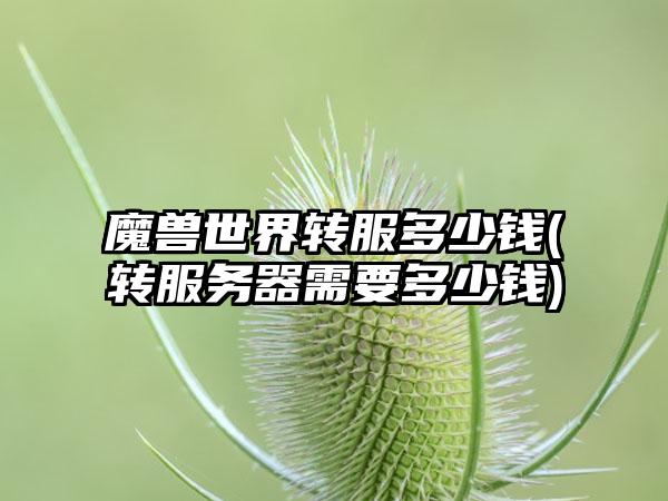 魔兽世界转服多少钱(转服务器需要多少钱)