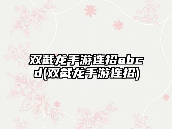 双截龙手游连招abcd(双截龙手游连招)