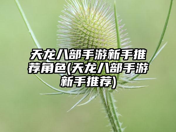 天龙八部手游新手推荐角色(天龙八部手游新手推荐)