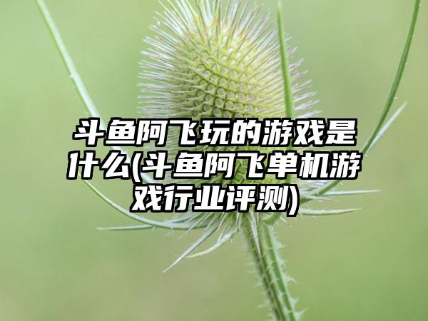斗鱼阿飞玩的游戏是什么(斗鱼阿飞单机游戏行业评测)
